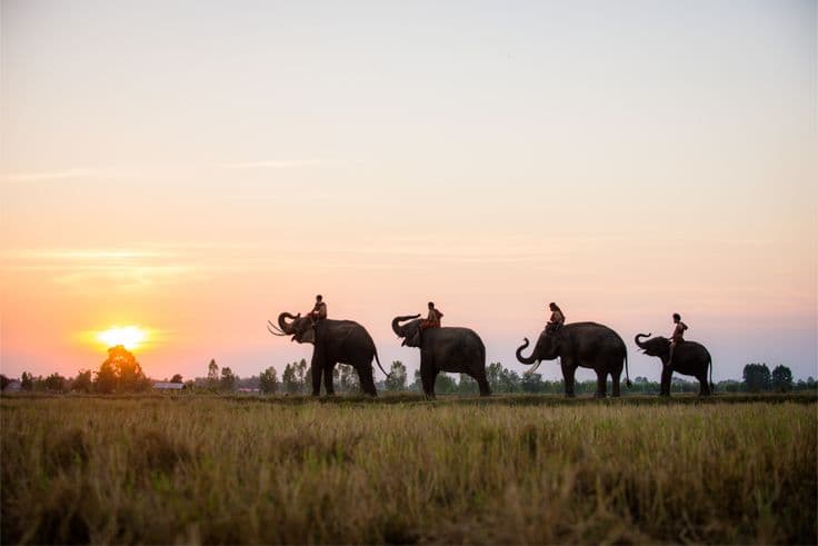 Chitwan